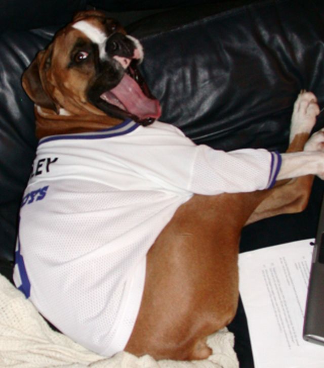 Football Fan
