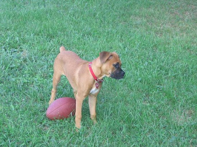 FOOTBALL SEASON