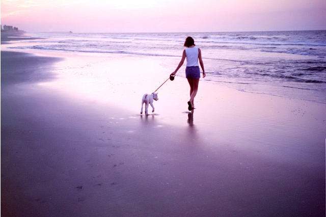 Footprints in the sand