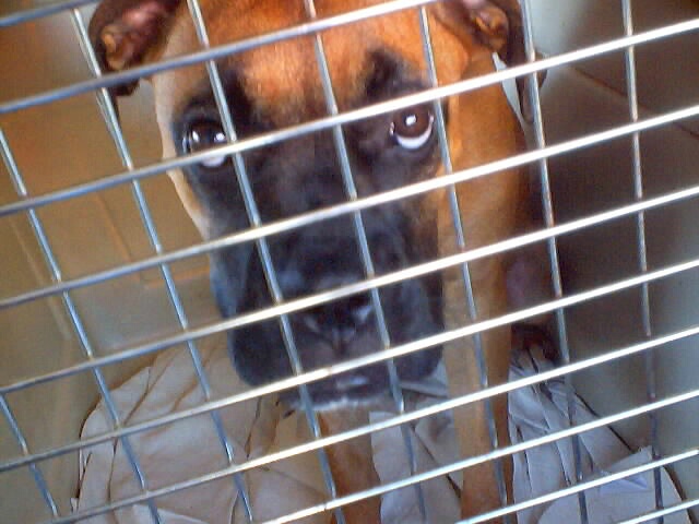 for real guys, let me out.  Guys?  Hey guys!?!