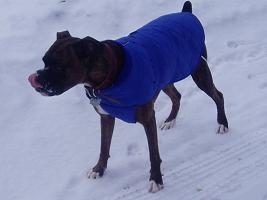 Foreman and his new winter coat