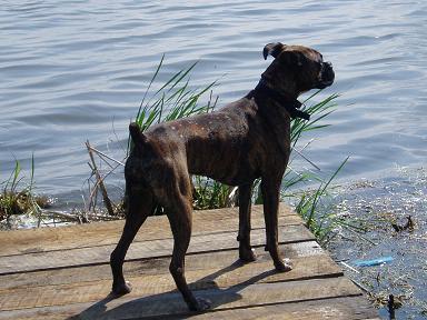 Foreman on Dock