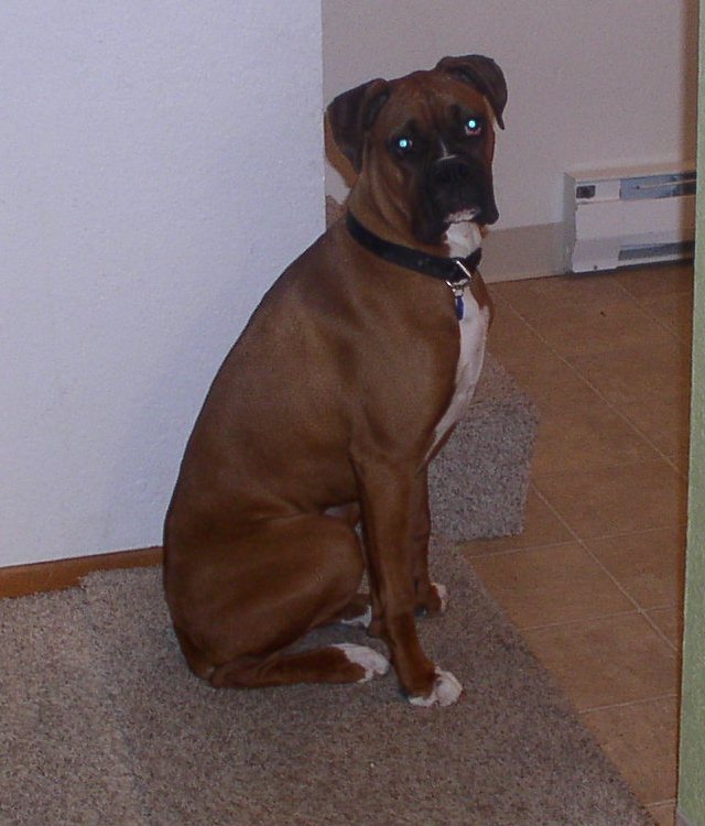 Foster 9 months