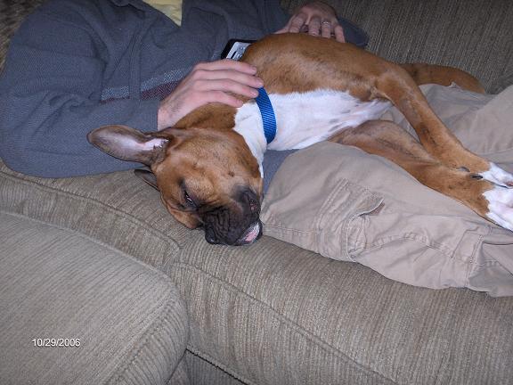 Foster Boy