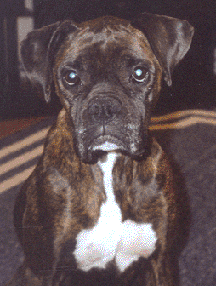 Foster