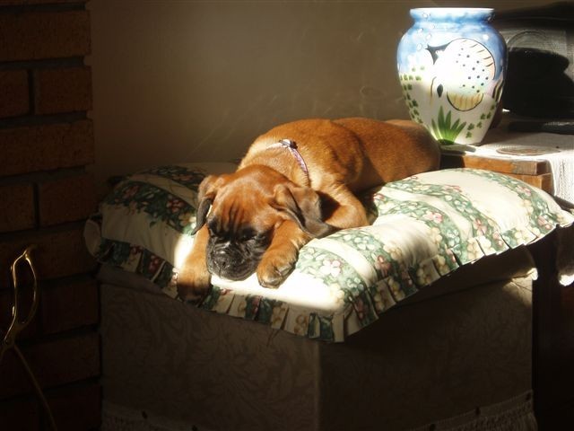 Found the sun!!