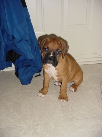 Frankie arrives home.
