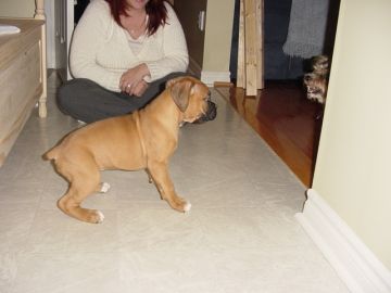 Frankie meets Bruno.