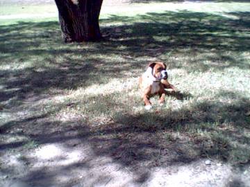 Frankie outside