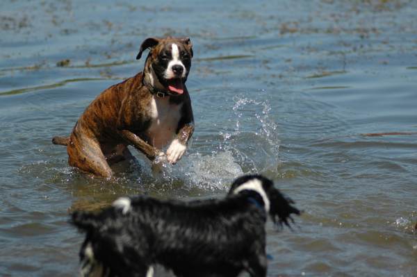 Fred splashing