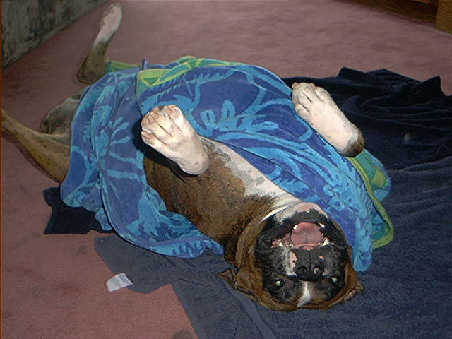 Fresh out of the shower