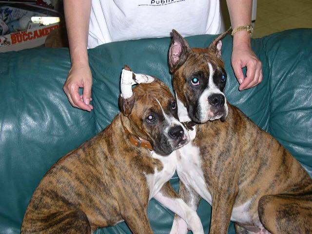 frick and frack