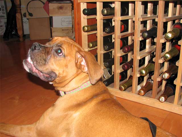 Friday at the Wine and Howl fundraiser