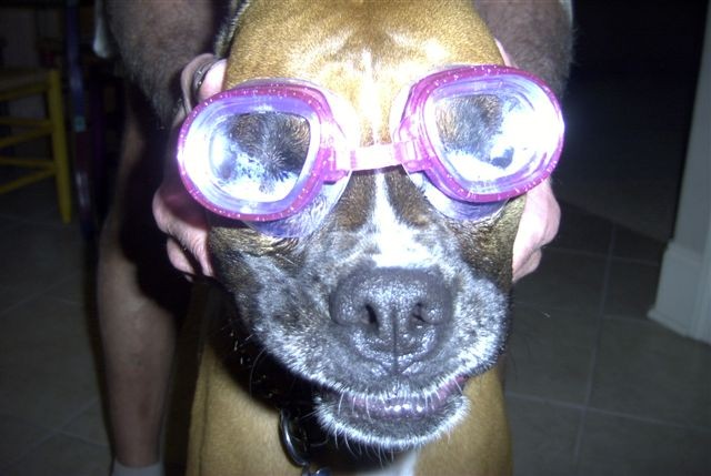 Friday - ready for the beach !!