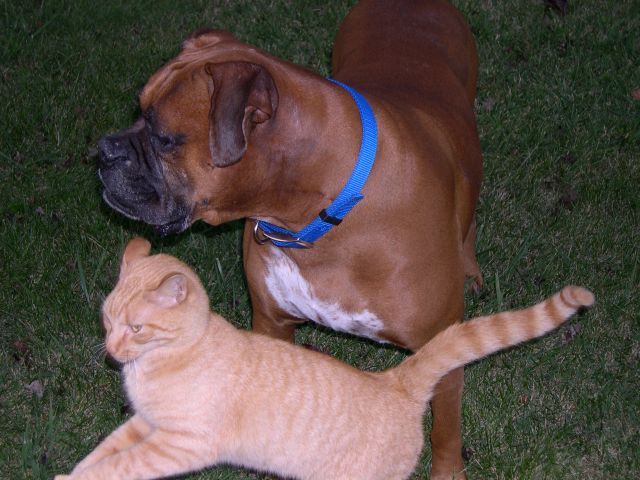 Friends Forever!!!
