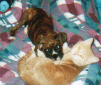 Friends Forever