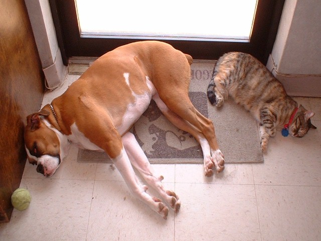 Friends!
