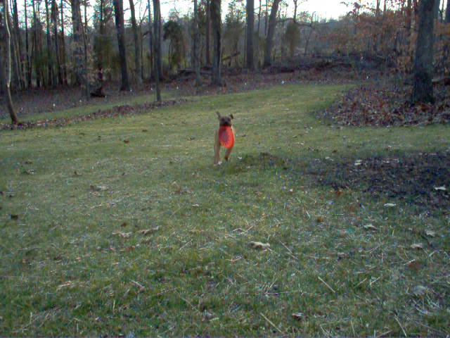frisbee time