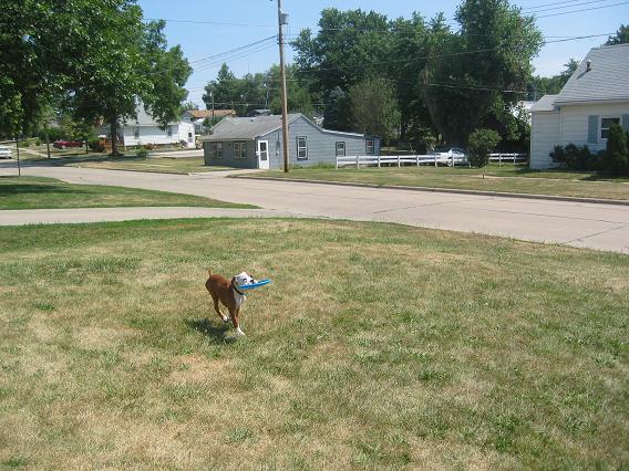 Frisbee
