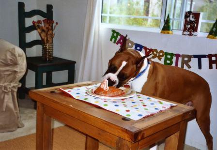 fritz_fourth_birthday