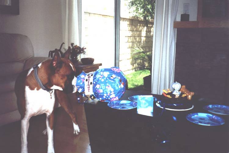 Fritz's 2nd B-Day