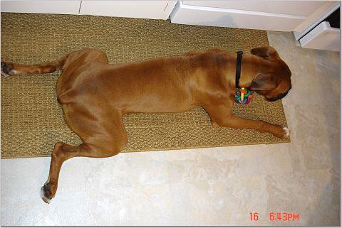Froggy legs