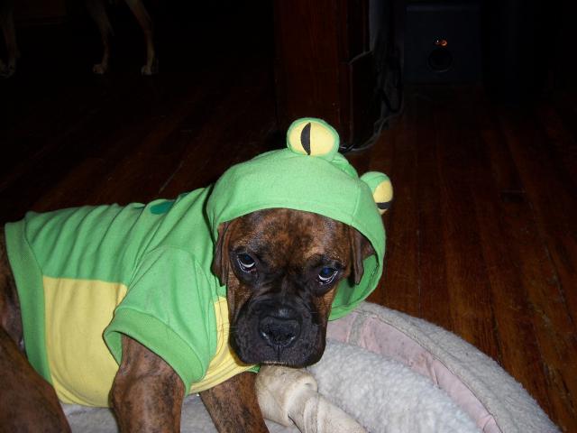 Froggy