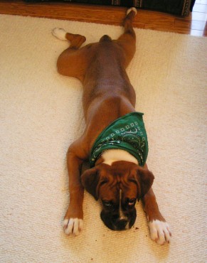 Frogs Legs