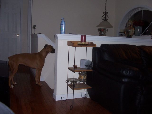 From a different angle I guess she'll get a better view...