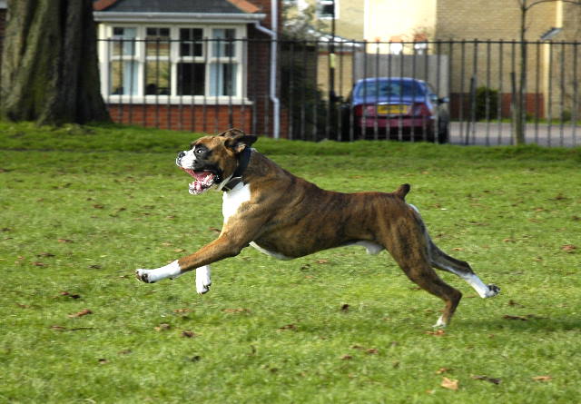 Full stretch - and what a face