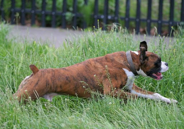 Full stretch