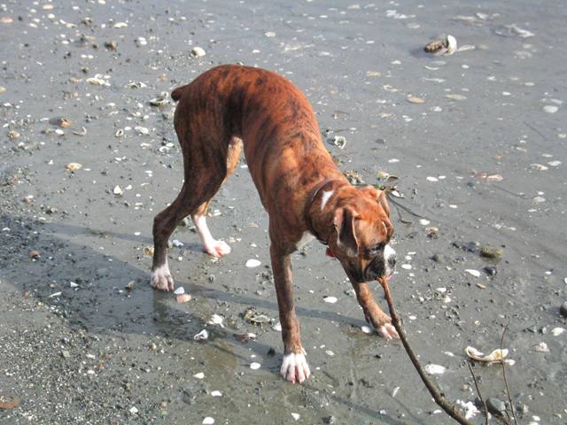Fun at the beach