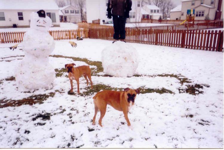 Fun in the snow!