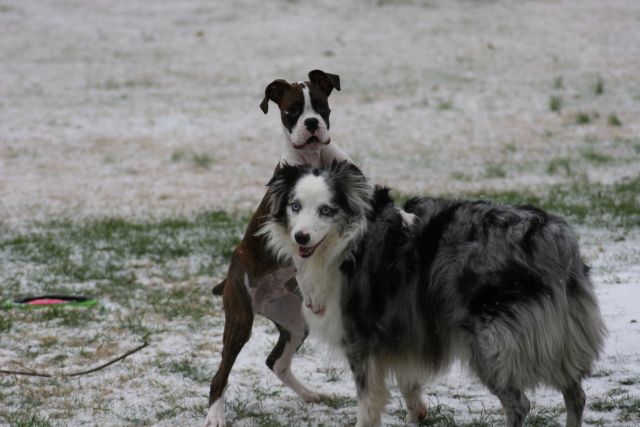 Fun in the snow.