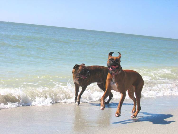 Fun on the beach