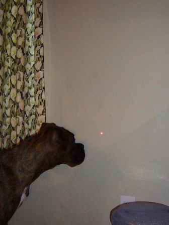 Fun with a laser pen