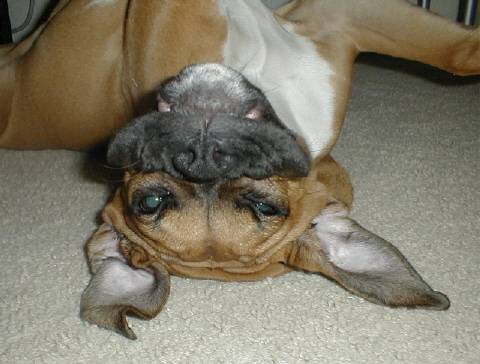 funky face