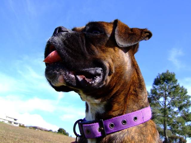 Funny angle head shot