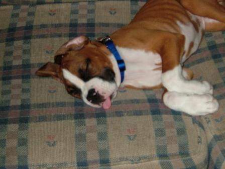 Funny even when he's sleeping