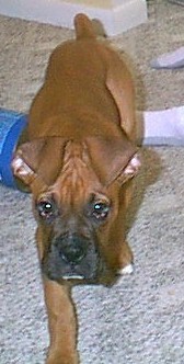 Funny looking ear day!