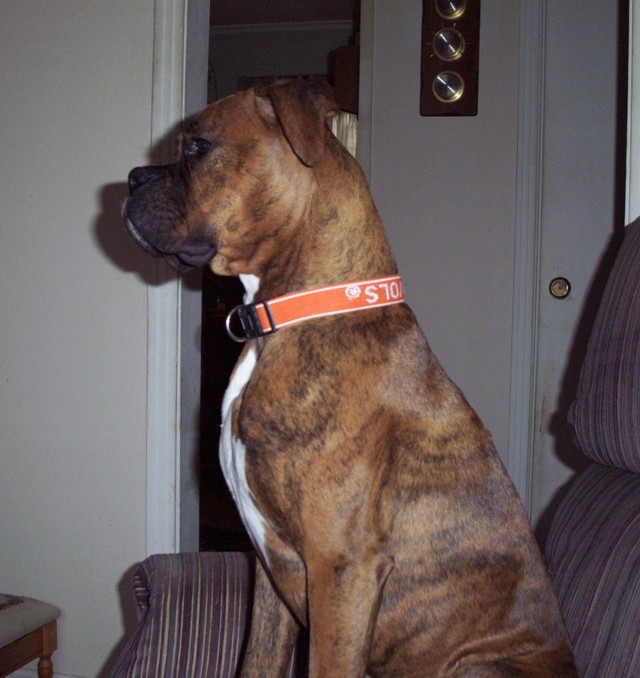 gabby sitting pretty
