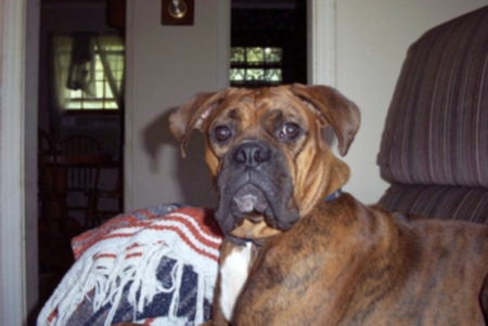 Gabby