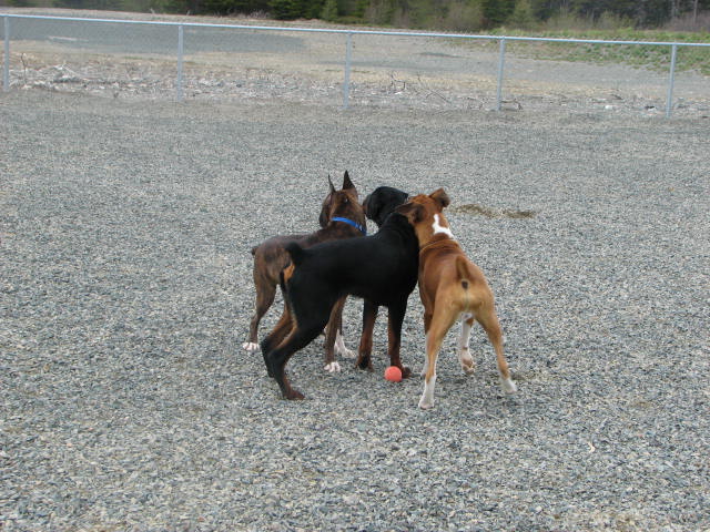 Gabe, Kato and Jaeger