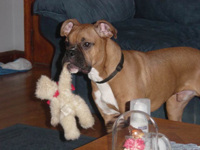 Gabe with one of many toys