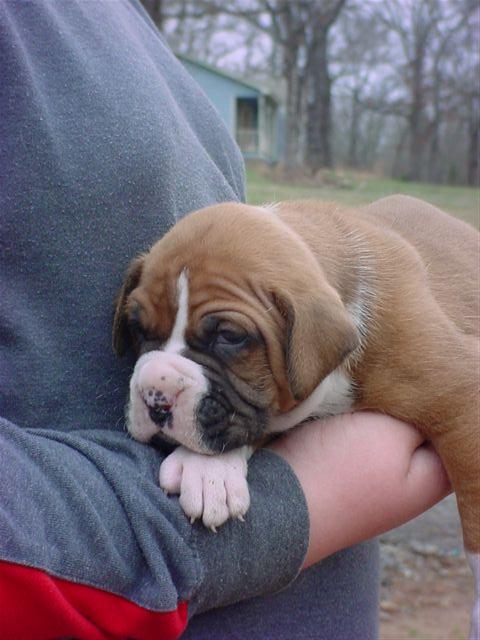 Gabriel at four weeks old