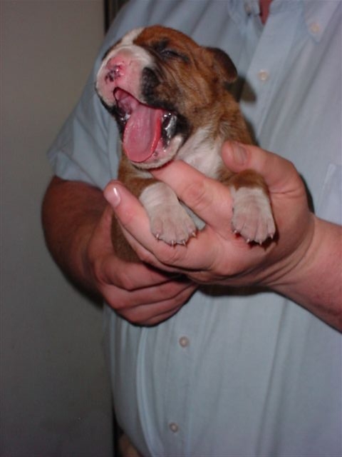 Gabriel yawning