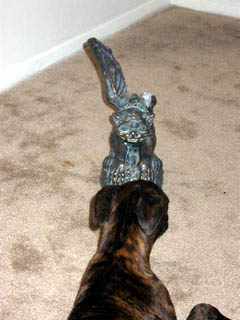 gargoyle