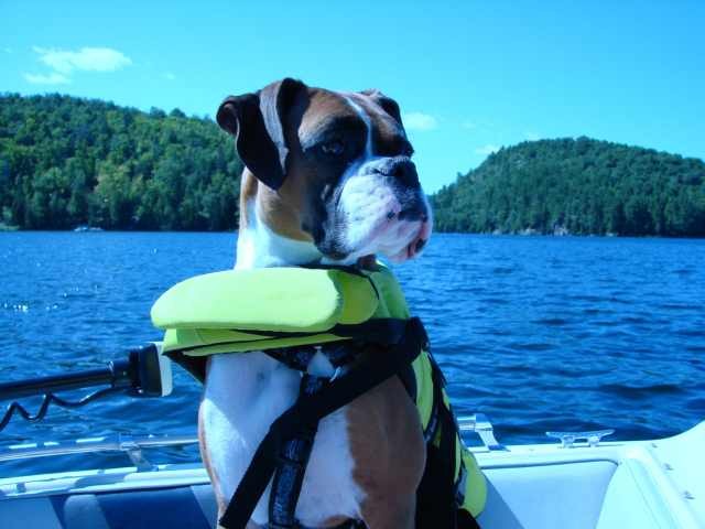 Gazou boating