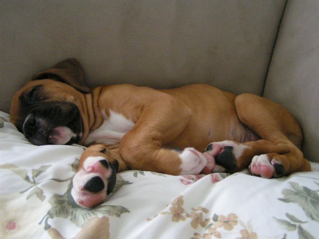 General worn out after playing