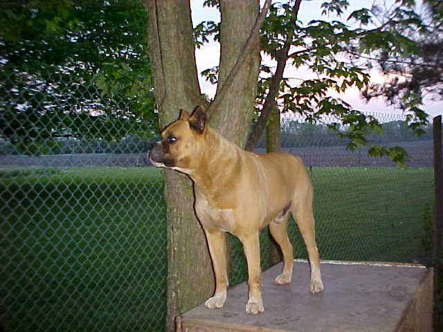 general